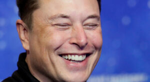 Liberals Officially Lose It amid Elon Musk’s Twitter Takeover: ‘The Gates of Hell Opened’