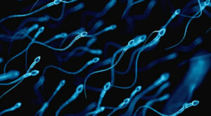 Top Professor Warns Plummeting Sperm Counts Are 'Accelerating' across the Globe