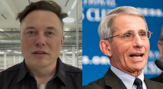 Elon Musk: Dr. Anthony Fauci “Cannot Be Regarded as a Scientist”