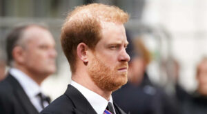 'A Tragic Money Making Scam:' Why Prince Harry's Book Rattled the Wrong Cages