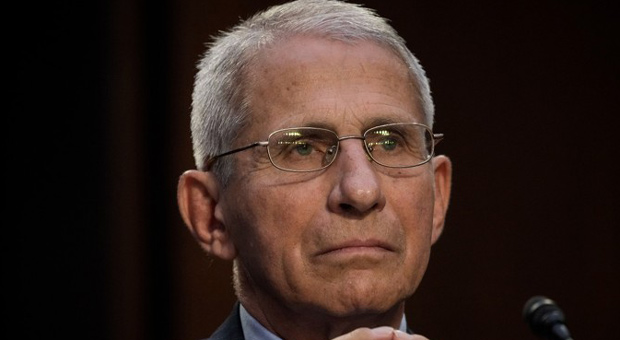 Evidence of a Narcissist? Fauci's Home Office is Filled with Portraits of Himself