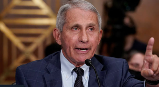 Fauci Blames Trump Supporters for Pushing Lab Leak 'Cover up' Theories
