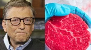 Italy Deals Massive Blow to Bill Gates as It Moves to Ban Lab-Grown Meats