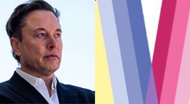 Twitter Account That Tweeted Pedophilia Pride Flag Gets NUKED by Elon Musk