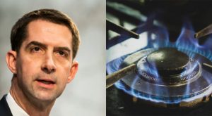 Tom Cotton on New York Gas Stove Ban So Much for a Right-Wing Conspiracy