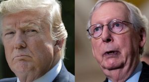 Trump Rips RINO McConnell He Does Not Speak for the Republican Party