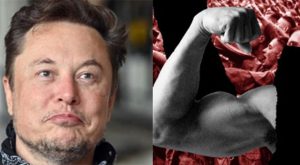 Elon Musk Demolishes MSNBC after Outlet Claims Being Healthy Leads White Supremacy