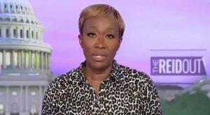 Joy Reid Says She Didn-t Leave the House on July 4 Because America Is Awash with Guns