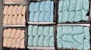 Authorities Seize 100,000 Fentanyl Pills in Arizona Bust, Enough to Kill 5 Million People