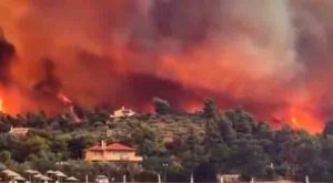 Greece Arrests Almost 80 Arsonists as Europe’s Largest-Ever Wildfires Decimate Country