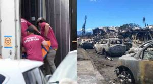 Media Accused of Downplaying Maui Fire Death Toll as Morgues Run Out of Body Bags