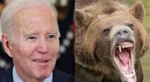 Biden Admin to Unleash Dangerous Grizzly Bears Near Rural Community A Natural Heritage