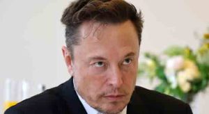 Elon Musk Fires Twitter’s ‘Election Integrity’ Team fo Doing the Opposite