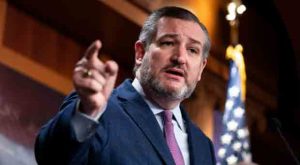 Ted Cruz Delivers EPIC 3-WORD Response to Biden-s Two Beers a Week’Recommendation