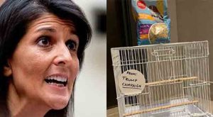 Trump Campaign Leaves Birdcage, Bird Food outside Nikki Haley’s Hotel Room