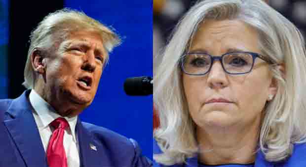 Trump: Liz Cheney Is Suffering from 'TDS' at a Level Rarely Seen Before
