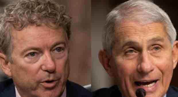 Rand Paul: Fauci ‘Should Be in Prison for His Dishonesty'