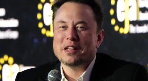 Elon Musk on Why Dems ‘Won’t Deport’ Illegal Immigrants: They’re ‘Likely Vote’