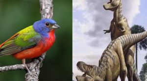 Woke Museum: Birds Are “Queer,” Dinosaurs Have “LGBTQ History”