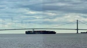 Another Cargo Ship Loses Power Near Verrazzano-Narrows Bridge NY